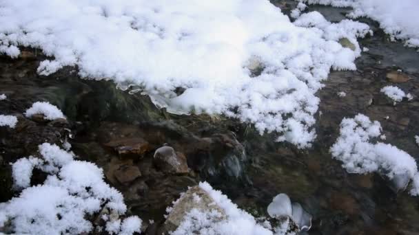 Невеликий швидкий потік, з чистою водою і галькою — стокове відео