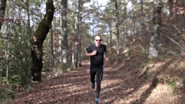 Runner nel bosco — Video Stock