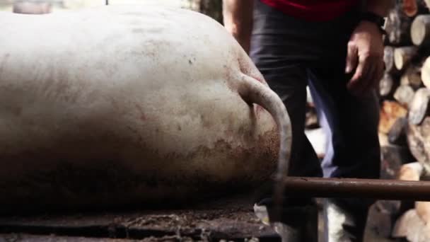 Autumm sırasında Boğazlanan domuz — Stok video