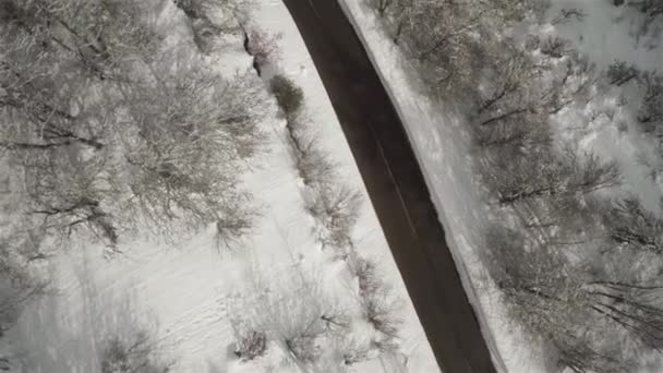 Drohnen-Ansicht einer Straße im Winter mit Schnee und Bäumen. — Stockvideo