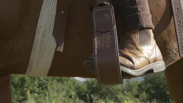 Botas e estribo em um cavalo sem correção de cor — Vídeo de Stock