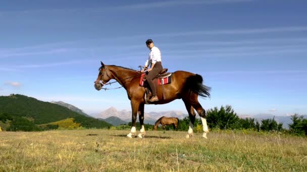 Mujer y un caballo en las montañas — Vídeo de stock