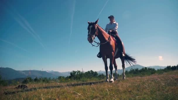 Een vrouw rijdt een paard in de natuur — Stockvideo