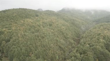 Orman dağlarda dron görünümü