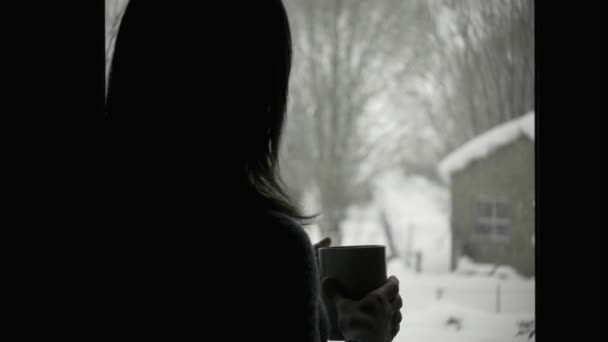 Frau trinkt Tee, während sie in den Schnee schaut — Stockvideo