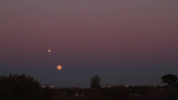 Avión aterrizando en el aeropuerto de Barcelona al atardecer — Vídeo de stock