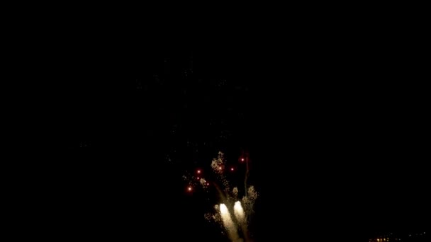 Vuurwerk in zwarte achtergrond — Stockvideo