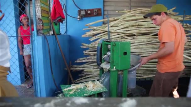 Trinidad, Kuba, Circa 2015: Pojke att göra Guarapo Cubano med sockerrör — Stockvideo