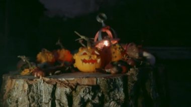 Halloween pumpkins sonbahar dekorasyonu ile bir ağaç gövdesi üzerinde