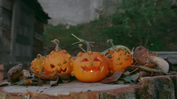 Citrouilles d'Halloween sur un tronc d'arbre avec décoration d'automne — Video