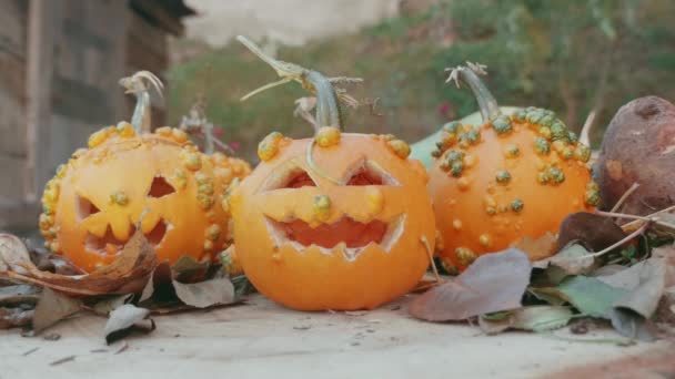 Halloween-Kürbisse über einem Baumstamm mit Herbstdekoration — Stockvideo