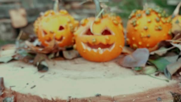 Calabazas de Halloween sobre un tronco de árbol con decoración otoñal — Vídeo de stock