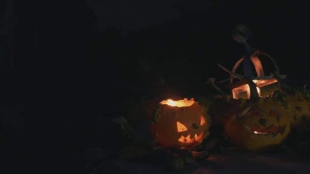 Halloween pumpkin over a tree trunk with pumpkins decoration