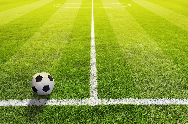 İşaretli ve toplu futbol çim sahası, Spor