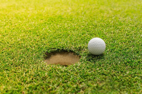 Golf into the hole — Stock Photo, Image