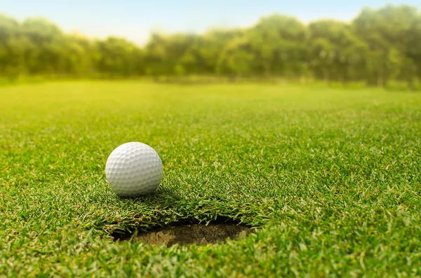 Golf into the hole — Stock Photo, Image