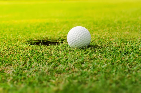 Golf into the hole — Stock Photo, Image