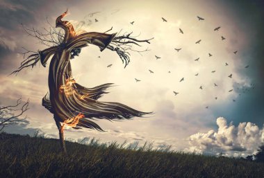 Pirinç tarlasında korkunç bir korkuluk. Cadılar Bayramı konsepti