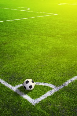İşaretli ve toplu futbol çim sahası, Spor