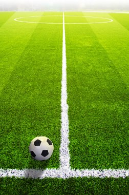İşaretli ve toplu futbol çim sahası, Spor