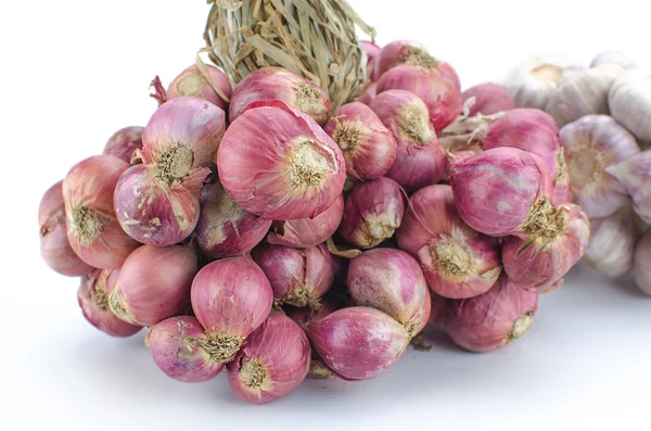 Cipolle scalogno in un gruppo su sfondo bianco — Foto Stock