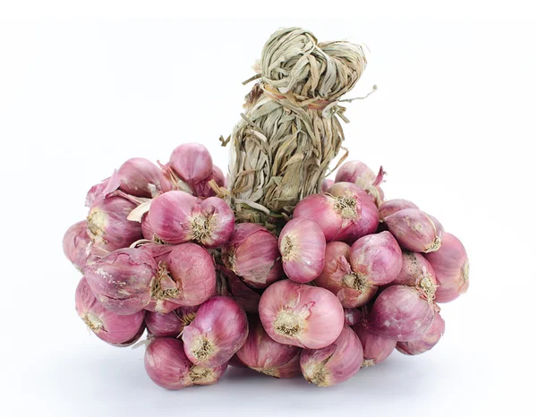 Shallot onions in a group on white background — Stock Photo, Image