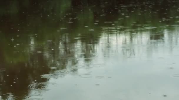 Krople deszczu na wodzie. Krople deszczu spadają. Deszczowa pogoda. — Wideo stockowe