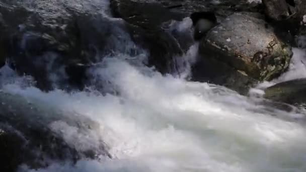 Beautiful Muehtinsky waterfall in the Altai Republic. — Stock Video