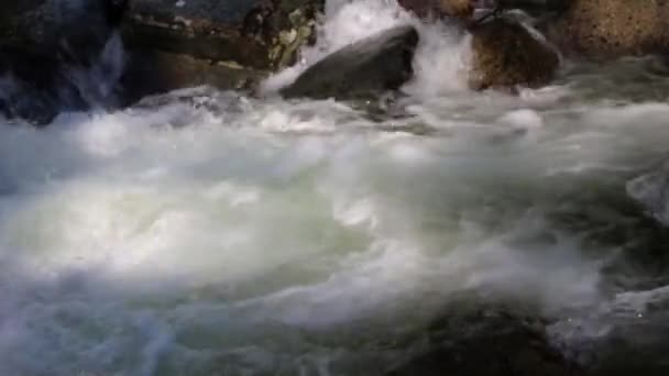 Belle cascade Muehtinsky dans la République de l'Altaï . — Video