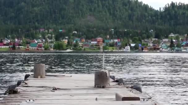 Vue depuis la jetée sur le lac en été — Video