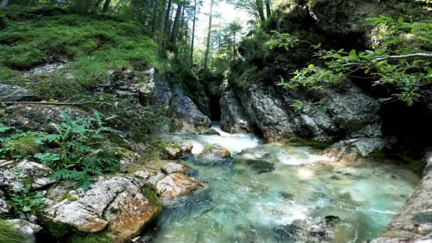 Paysage Une Rivière Dans Les Dolomites — Video