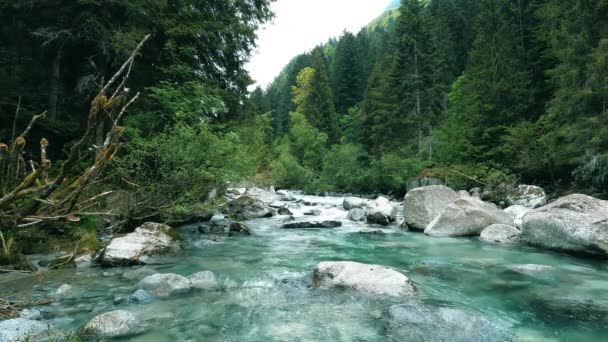 Panorama Des Flusses Sarca Tal Der Genueser Dolomiten — Stockvideo