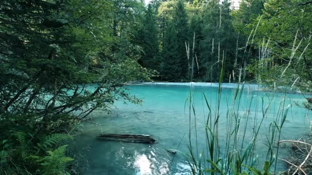 Panorama Sur Lac Amola Dolomites Italie — Video