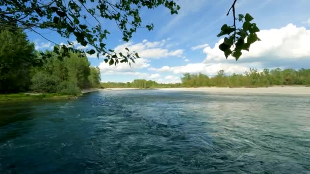 Übersicht Des Blue River — Stockvideo