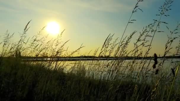 Paysage Aube Sur Lac Majeur — Video