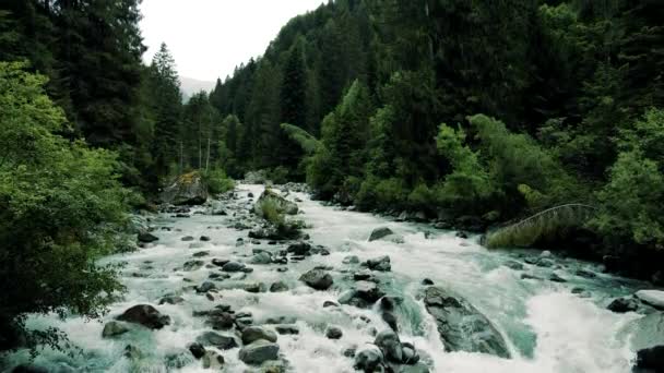 Hava Aracı Dolomitler Ormanında Yağmurlu Gün — Stok video