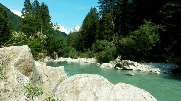 Panorama Une Rivière Des Dolomites Avec Eau Des Rochers — Video