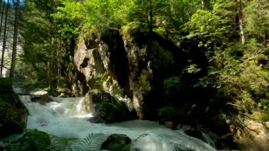 Alplerdeki bir akarsuyun manzarası - 5K