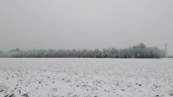 Winter Landscape Field — Wideo stockowe