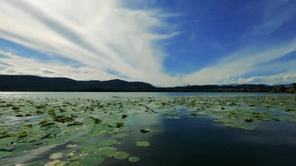 Paysage Sur Lac Comabbio — Video