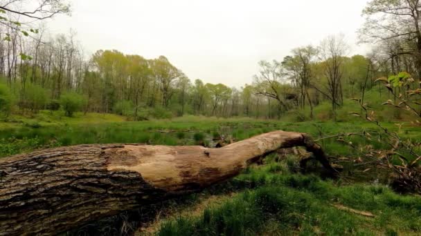 Overview Italian Countryside — Wideo stockowe