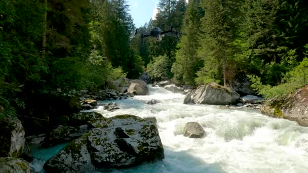 Landscape Water Plants Drone — Stock Video