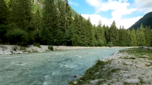 Καλοκαίρι Τοπίο Τον Ποταμό Στις Άλπεις — Αρχείο Βίντεο