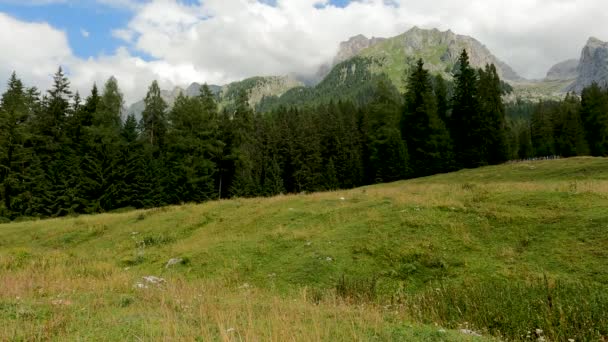 Panorama Verano Los Alpes — Vídeos de Stock