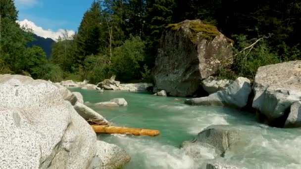 Paesaggio Torrente Alpino — Video Stock