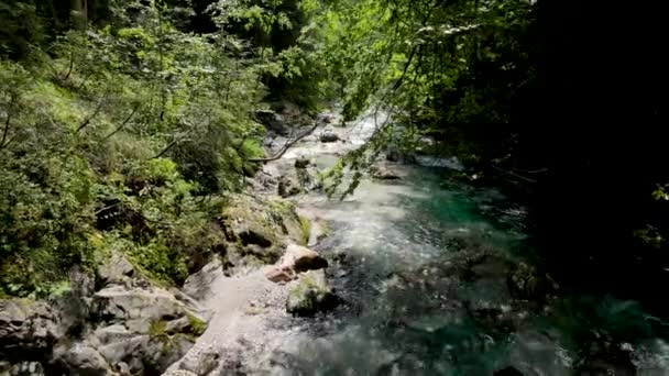 Luchtdrone Panorama Van Rivier — Stockvideo