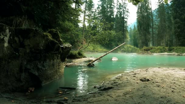 Alpina Landskap Skogen Dolomiterna — Stockvideo