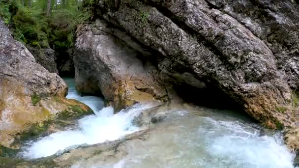 Valagola Stream Pinzolo Dolomites Talya — Stok video