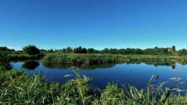  Kuğu Gölü 'nde yaz manzarası - 6K