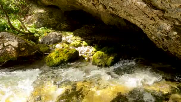 Berglandschap Met Rotsen Mos — Stockvideo